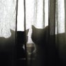 Фото профиля Steve Cleveland
