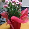 Profilbild von 桜LOVE