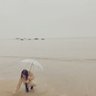 AK2781 的头像