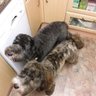 TerryW profil fotoğrafı