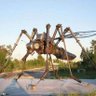 mosquito profil fotoğrafı