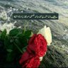 Profilbild von حمود