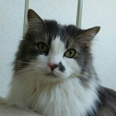 ☆ぶっち☆'s profile picture