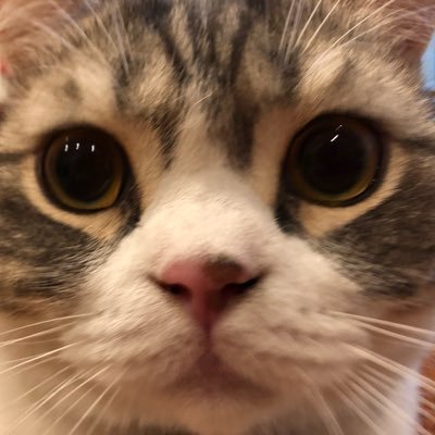 timeheal_'s profile picture