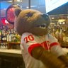 Big Red Ruckus's profile picture