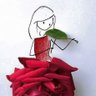Profilbild von Bread & Roses🌹🇵🇸#STOPGazaGenocide