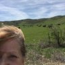 KK 1954's profile picture