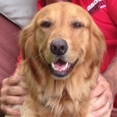 TonyGrossi's profile picture