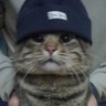 Ольга Ольга profil fotoğrafı