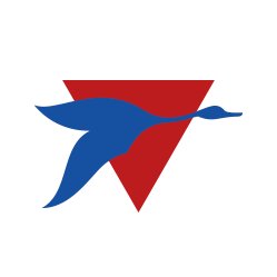 BiguaOnline's profile picture