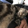 numao profil fotoğrafı