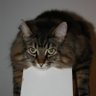 Profilbild von Mel