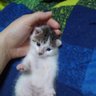 ãã profil fotoÄrafı