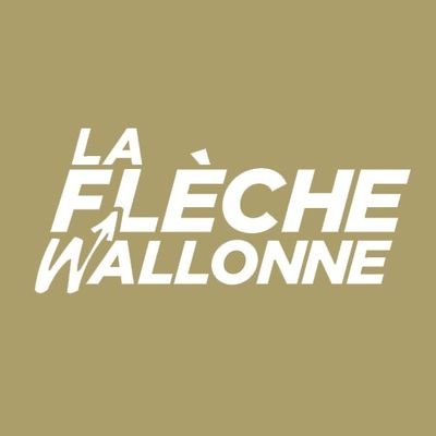 flechewallonne's profile picture