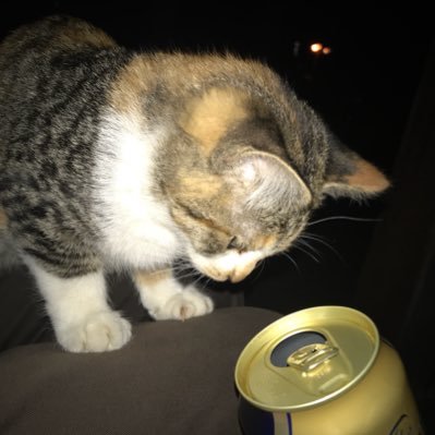RGB_Take's profile picture