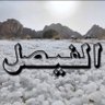 Profilbild von الفيصل