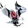 Profilbild von Ali Şenol Kartarı