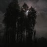 JR6551's profile picture