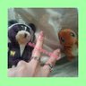 るな 的头像