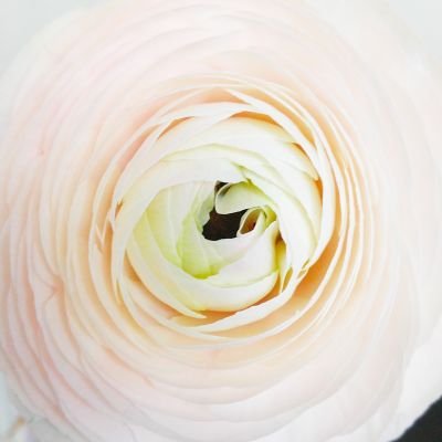 ulsae1995's profile picture