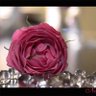 Фото профиля نوره