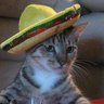 YourMe OfGah's profile picture
