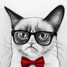 Profilbild von Tony Lee