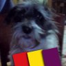 carlos moreno's profile picture