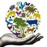 Фото профиля Biodiversity_News_Accountability!