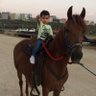 MDLP's profile picture