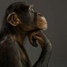 Julio Contrex's profile picture