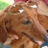 MINT's profile picture