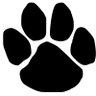 Joe Friday's profile picture