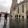 Silvia profil fotoğrafı