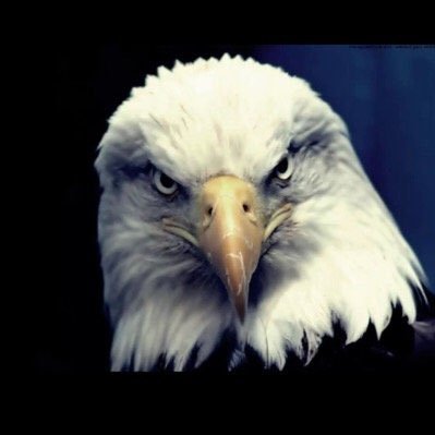 syhULANbyzULAN's profile picture