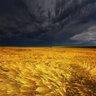 Profilbild von Облікове Діло 🇺🇦