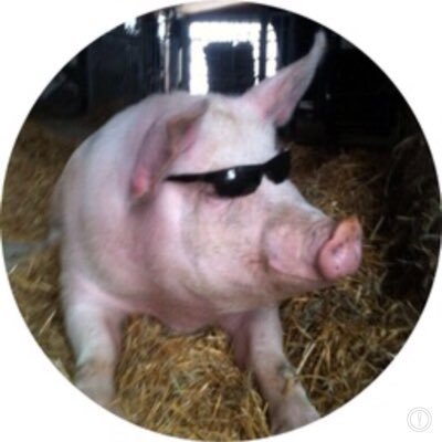 Mike Van Gorp's profile picture