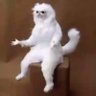 Paragon's profile picture