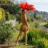 Pepper Ann 的头像