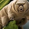 Sirtweetsalot's profile picture