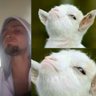 !!!!CompoundCannon!!! profil fotoğrafı