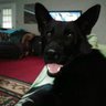 Roger Davis's profile picture