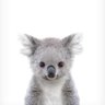 Костик profil fotoğrafı