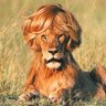 peaceandlowe profil fotoğrafı