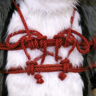 Chee Rope Adventures 🇺🇦's profile picture