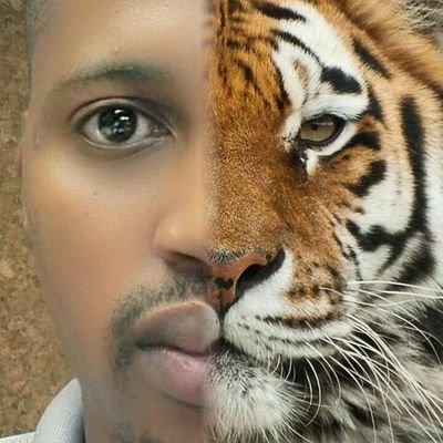 MmMolale's profile picture