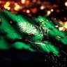 بندر المحيسن profil fotoğrafı