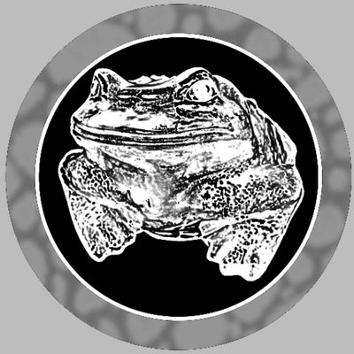 myfroghashat's profile picture