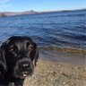 Profilbild von Lulach1