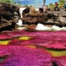 Фото профиля diego herrera